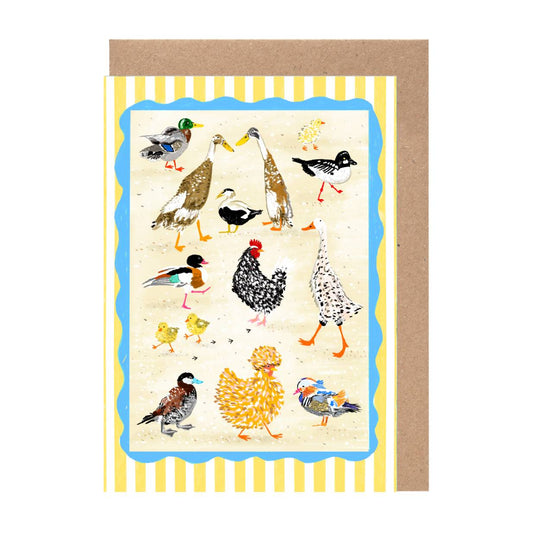 The image is a collage of various colorful birds, including ducks, geese, and chickens, depicted in different poses and positions.
