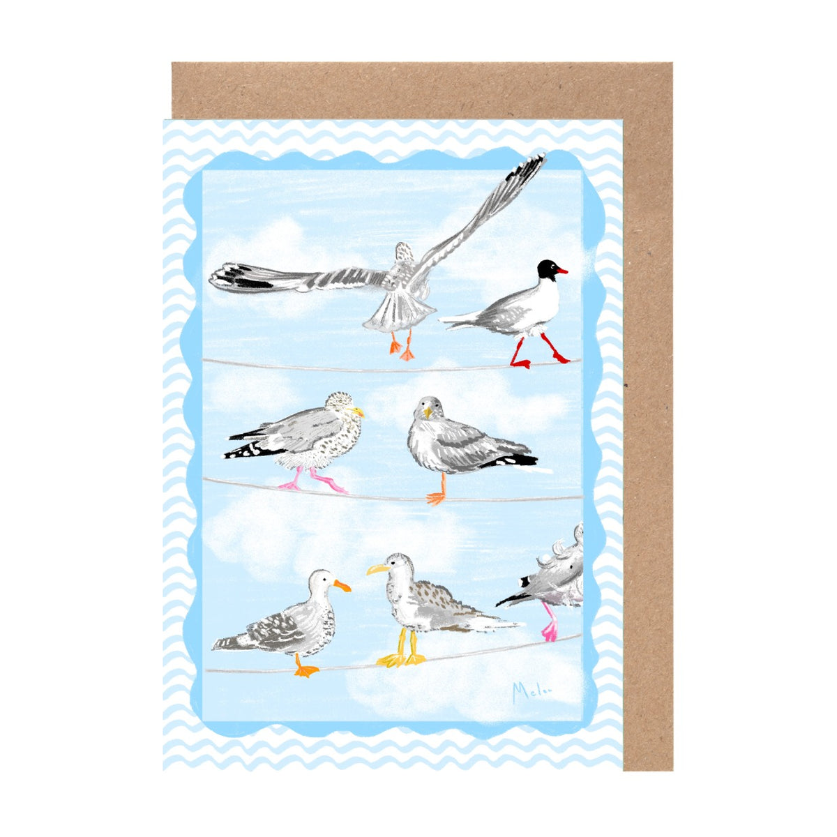 A collage of various seagulls in different poses and positions, including one flying, one standing on a wire, and others sitting or walking.